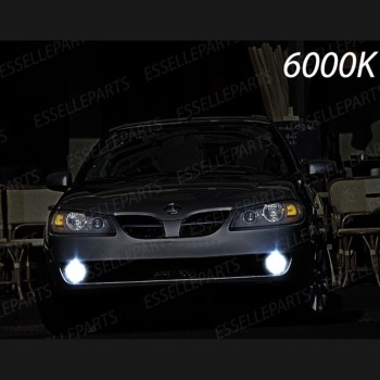 Kit Full LED H8 6400 Lumen 6000K bianco Fendinebbia NISSAN ALMERA II DAL 08-2002 Kit Full LED H8 6400 Lumen 6000K bianco Fendinebbia NISSAN ALMERA II DAL 08-2002