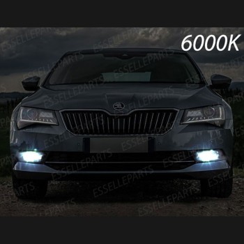 Kit Full LED H8 6400 LUMEN Fendinebbia SKODA SUPERB III