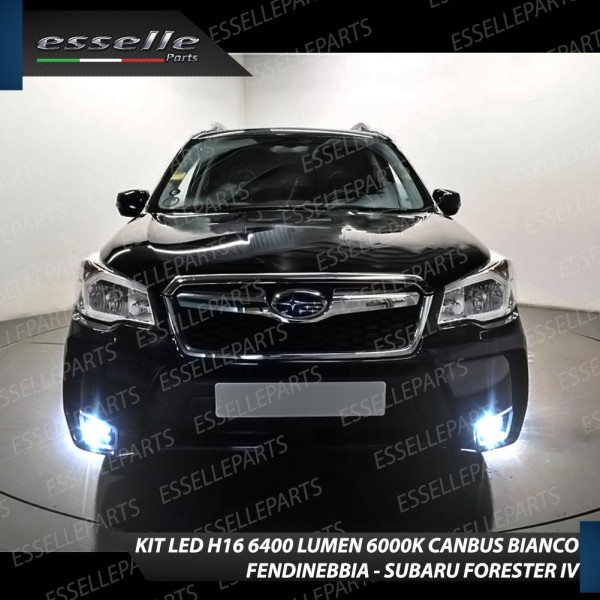 Kit Full LED H16 Fendinebbia 6400 LUMEN SUBARU FORESTER IV