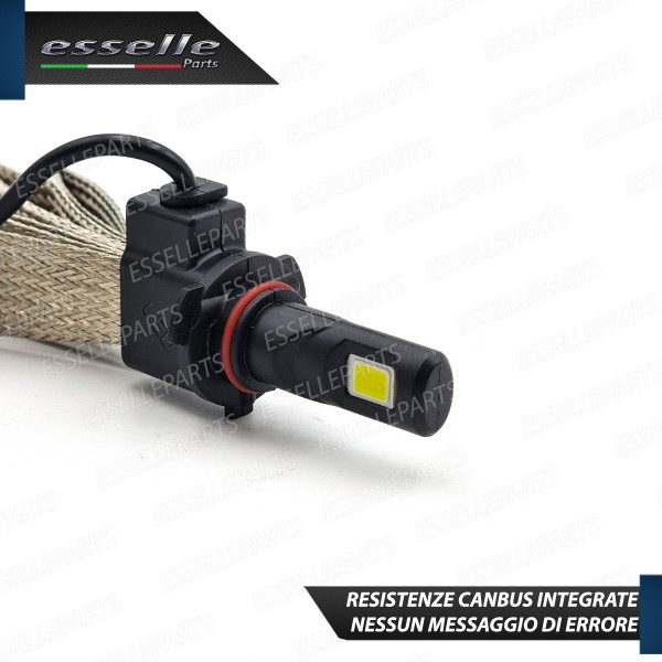 Kit LED Fendinebbia BMW Serie 5 E60 E61 Luce Bianca Canbus