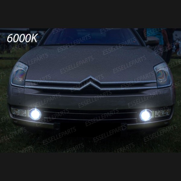 Luci Fendinebbia H11 LED 900 LUMEN CITROEN C6
