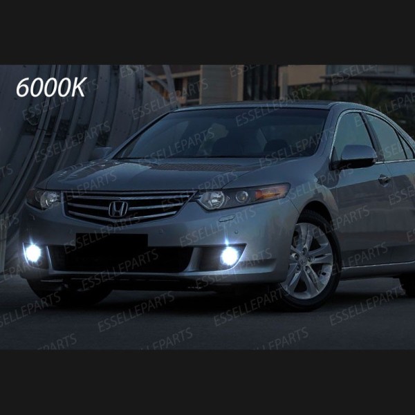 Luci Fendinebbia H11 LED 900 LUMEN HONDA ACCORD VIII