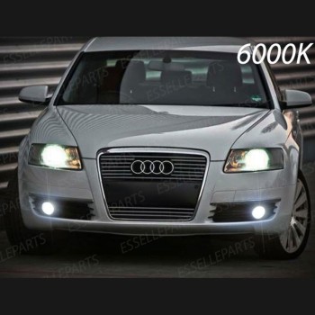 Luci Fendinebbia H11 LED 900 Lumen 6000K bianco AUDI A6 C6 dal 2009 in poi Luci Fendinebbia H11 LED 900 Lumen 6000K bianco AUDI A6 C6 dal 2009 in poi