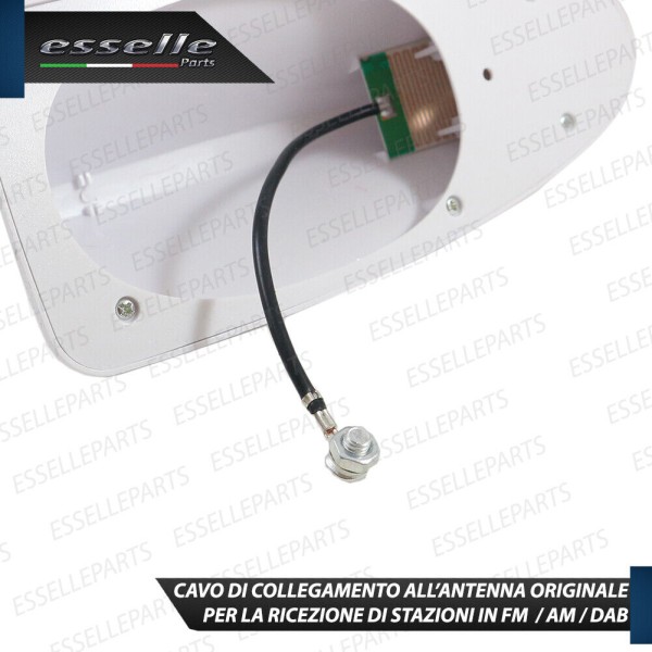 Antenna Pinna Bianco Lucido con Vera Ricezione radio