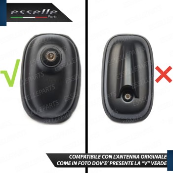 Antenna Pinna Bianco Lucido con Vera Ricezione radio