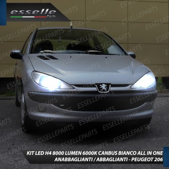 Kit LED per Peugeot 206 Dal 10-2006 Lampade Compatte 6000K