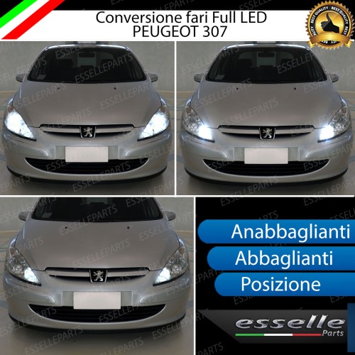 Conversione Fari Full LED per Peugeot 307 Lampade Compatte 6000K Bianco Canbus
