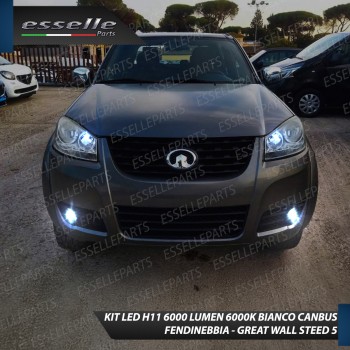 Kit Full LED H11 6000 LUMEN Canbus 6000K Bianco Fendinebbia Great Wall Steed 5