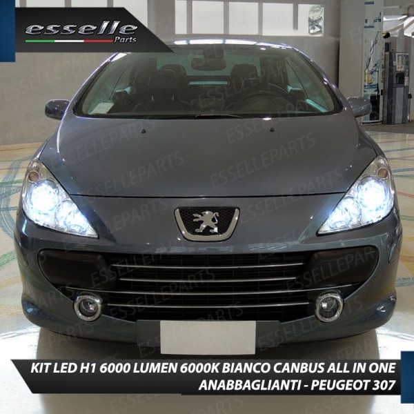 Conversione Fari Full LED per PEUGEOT 307 RESTYLING