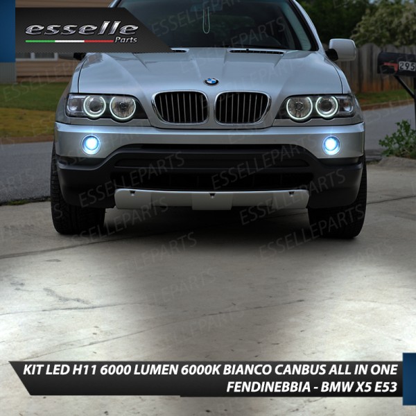 Kit Full LED H11 6000 LUMEN Canbus 6000K Bianco Fendinebbia BMW X5 E53