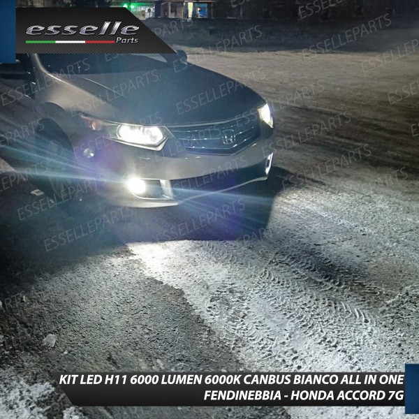 Kit Full LED H11 6000 LUMEN Canbus 6000K Bianco Fendinebbia HONDA ACCORD 7G