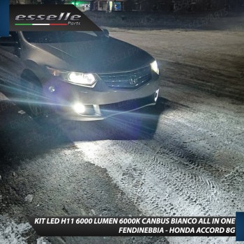 Kit Full LED H11 6000 LUMEN Canbus 6000K Bianco Fendinebbia HONDA ACCORD 8G