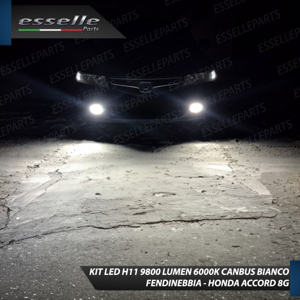 Kit Full LED H11 6000 LUMEN Canbus 6000K Bianco Fendinebbia HONDA ACCORD 8G