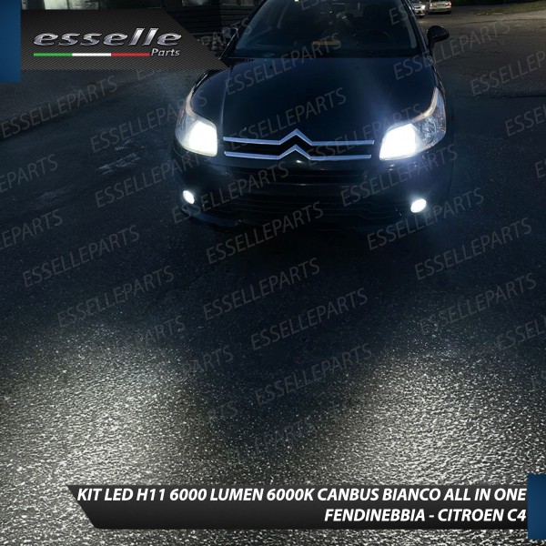 Kit Full LED H11 6000 LUMEN Canbus 6000K Bianco Fendinebbia per Citroen C4 Mk1