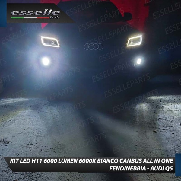 Kit Full LED H11 6000 LUMEN Canbus 6000K Bianco Fendinebbia AUDI Q5 8R