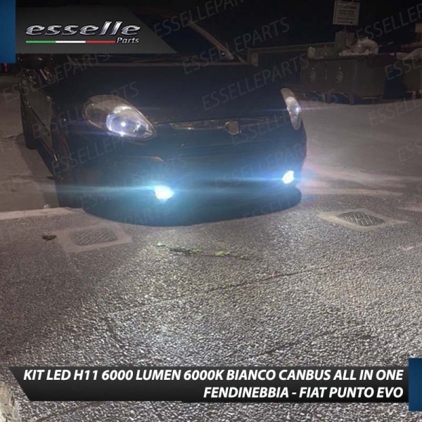Kit Full LED H11 6000 LUMEN Canbus 6000K Bianco Fendinebbia per FIAT PUNTO EVO