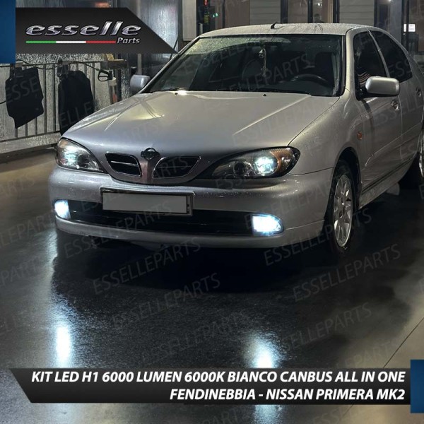 Kit Full LED coppia H1 6000 LUMEN Fendinebbia per NISSAN PRIMERA MK2