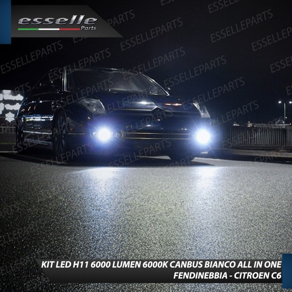 Kit Full LED H11 6000 LUMEN Canbus 6000K Bianco Fendinebbia per Citroen C6