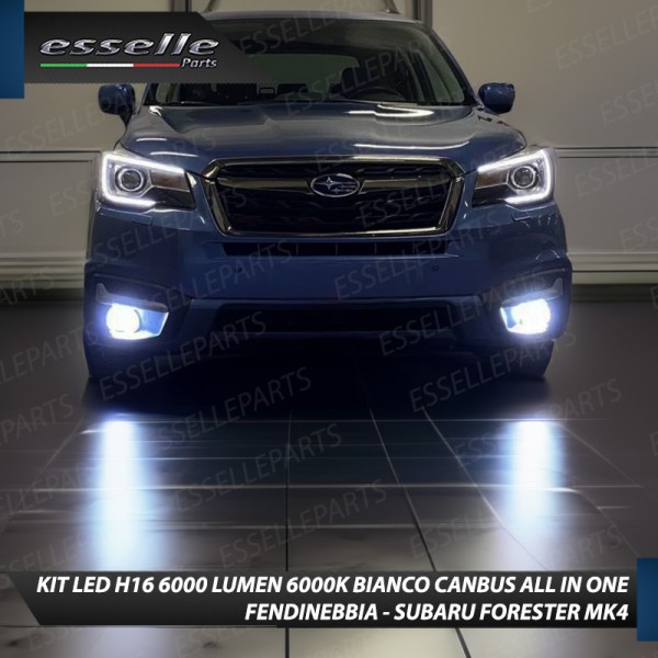 Kit Full LED H16 6000 LUMEN Canbus 6000K Bianco Fendinebbia per SUBARU FORESTER MK4