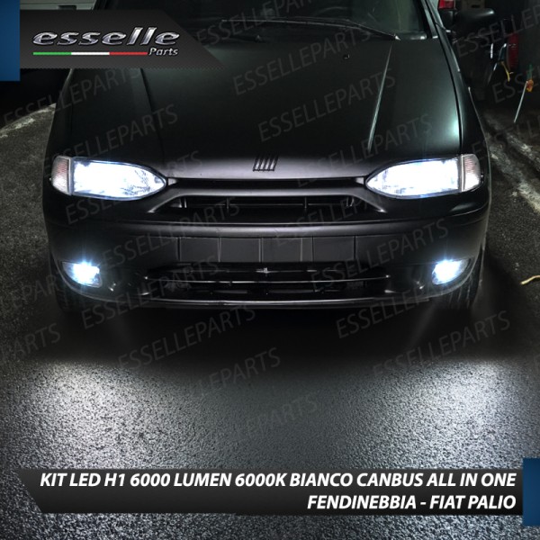 Kit Full LED coppia H1 6000 LUMEN Fendinebbia per FIAT PALIO