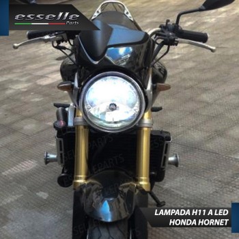 Lampada Singola H11 LED 3000 Lumen per Anabbagliante HONDA Hornet 900
