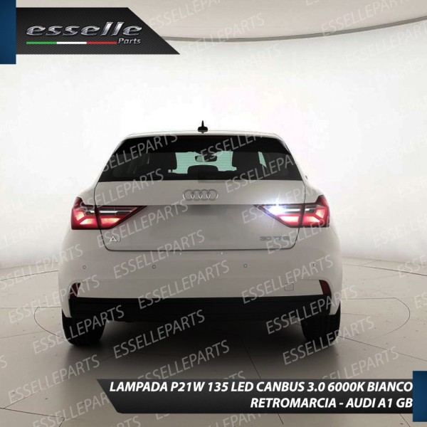 Luci Retromarcia Led Canbus AUDI A1 II Luce Bianca No Error