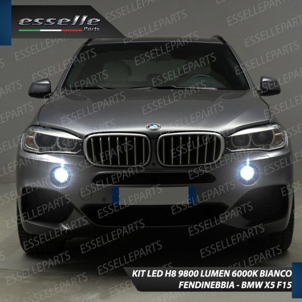 Kit Full Led 6000k canbus BMW X5 F15 F85 H8 Fendinebbia No Error