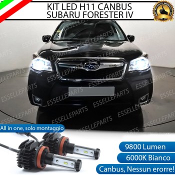 Kit Full LED H11 coppia lampade Anabbaglianti SUBARU FORESTER IV Kit Full LED H11 coppia lampade Anabbaglianti SUBARU FORESTER IV