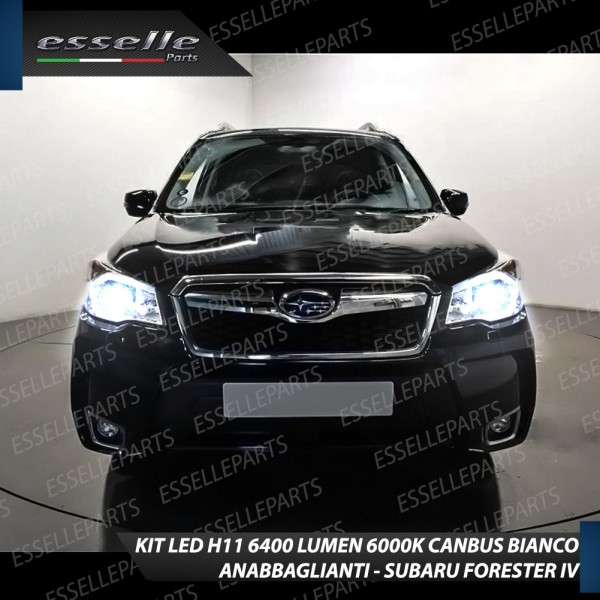 Kit Full LED Anabbaglianti H11 6400 LUMEN SUBARU FORESTER IV