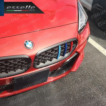 Bmw Z4 G29 Cover In Stile Bmw M Sport Calandra Ad Incastro Specifico