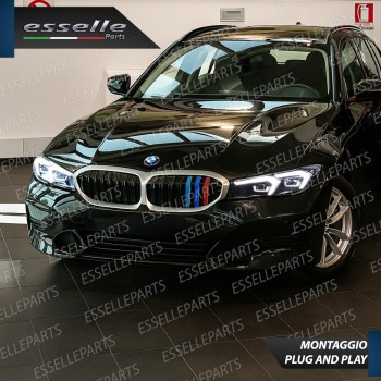 Bmw SERIE 3 G20 G21 DAL 2023 AL 2024 Cover In Stile Bmw M Sport Calandra Ad Incastro Specifico