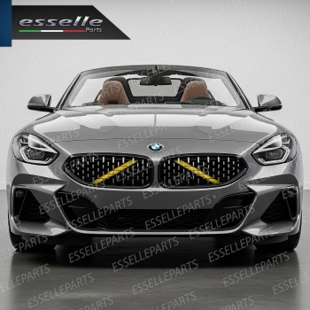 Cover Barre Radiatore Bmw Serie Z4 G29 Ad Incastro Giallo Plug And Play