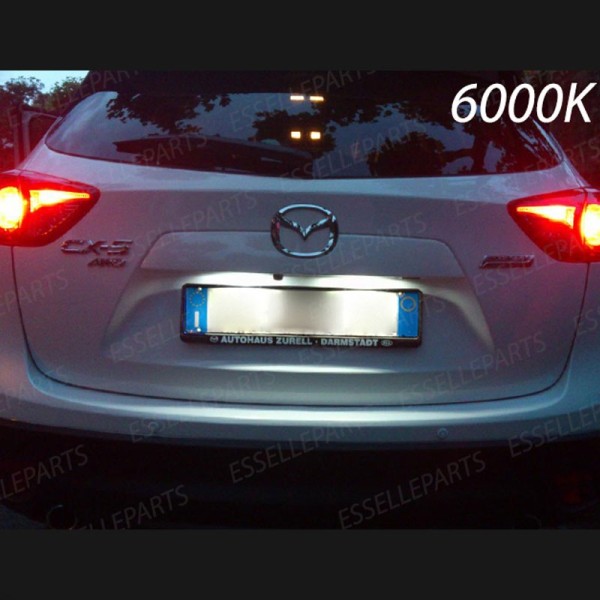 Luci targa 5 LED Canbus