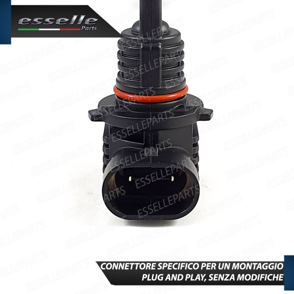 Kit LED HB3 Bmw X5 E53 Abbaglianti Canbus 6000K Luce Bianca