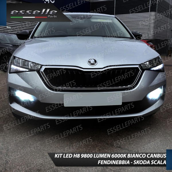 Kit Full LED H8 Fendinebbia SKODA SCALA