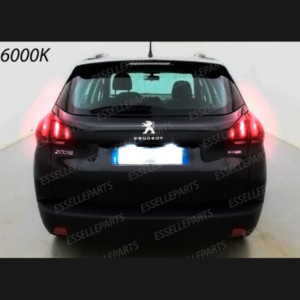 Luci targa 5 LED Canbus