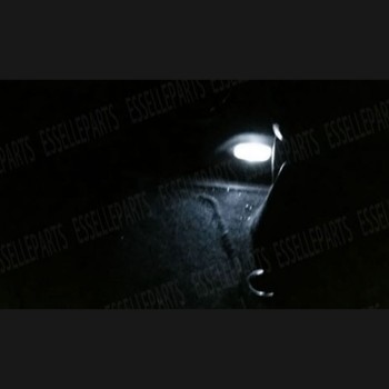 Led interni completo + targa RENAULT XMOD Led interni completo + targa RENAULT XMOD