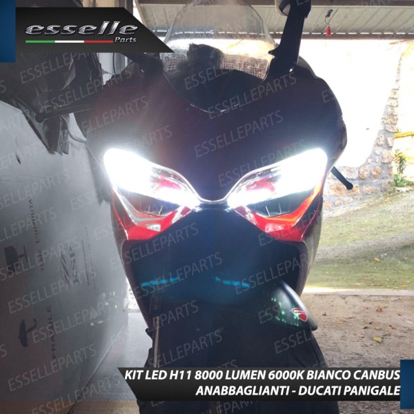 Conversione a Led H11 6000K Bianco Canbus Ducati Panigale V4