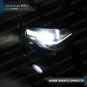 Coppia Lampade D1S BMW Z4 E89