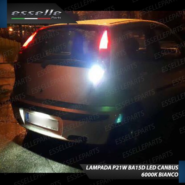 Lampada LED Retromarcia Da 15 LED Canbus 6000K con lente Fiat Punto MK2 Dal 2001