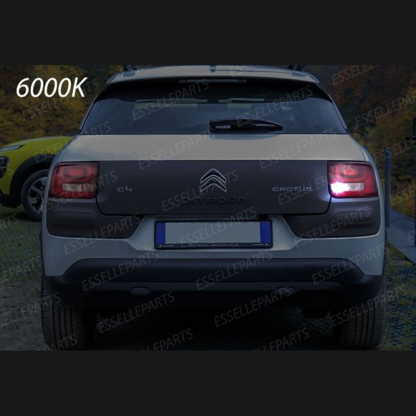 Luce Retromarcia 15 LED Citroen C4 Cactus CON LENTE FRONTALE
