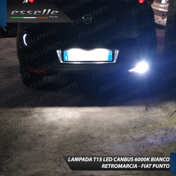 Luci Retromarcia Led Canbus FIAT PUNTO Luce Bianca No Error