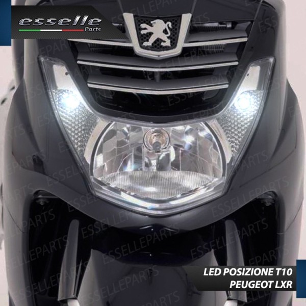 Luci posizione T10 5 LED Canbus per PEUGEOT LXR 200 2009-2014