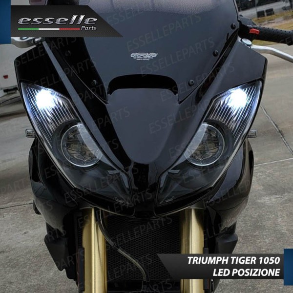 Luci posizione T10 5 LED Canbus per Triumph Tiger 1050 2006-2012