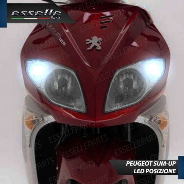 Luci posizione T10 5 LED Canbus per PEUGEOT Sum-up 125 2008-2011