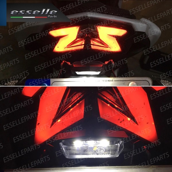 Placchetta Luce Targa LED Canbus 6000K Specifica per Buell