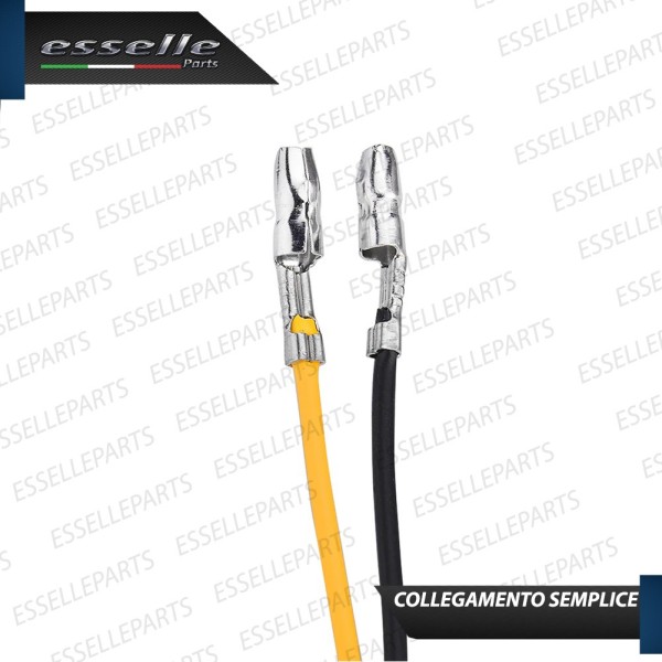 Placchetta Luce Targa LED Canbus 6000K Specifica per Moto Guzzi