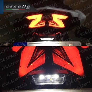 Placchetta Luce Targa LED Canbus 6000K Specifica per Peugeot
