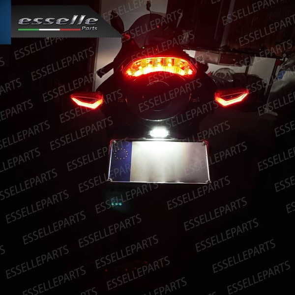 Placchetta Luce Targa LED Canbus 6000K Specifica per Triumph
