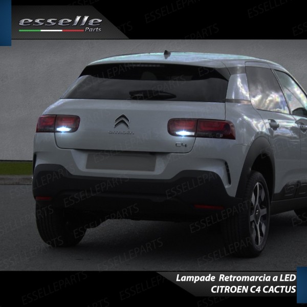 Luci Retromarcia Led Canbus CITROEN C4 CACTUS RESTYLING